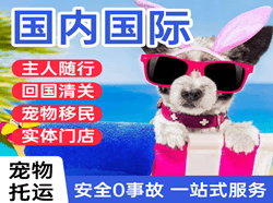 南宁吴圩机场托运国际宠物托运 【国